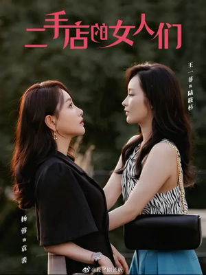 二手店的女人们(66集) 二手店的女人们(66集)精彩短剧热播中