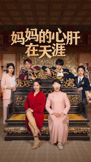 妈妈的宝贝在天涯 妈妈的宝贝在天涯360网盘观看