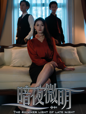 暗夜微明(70集) 暗夜微明(70集)百度在线观看