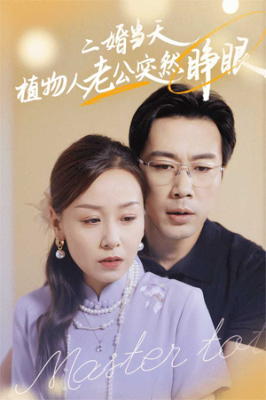 二婚当天植物人老公突然睁眼（40集）超好看短剧推荐