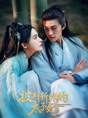 披荆斩棘的太子妃(80集) 披荆斩棘的太子妃(80集)古代短剧推荐