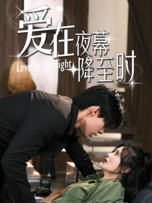 爱在夜幕降至时(73集) 爱在夜幕降至时(73集)视频在线看