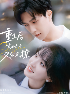 重生后京圈太子又宠又撩(72集) 重生后京圈太子又宠又撩(72集)短剧演员排行榜