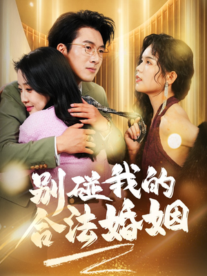 别碰我的合法婚姻(30集) 别碰我的合法婚姻(30集)剧情简介