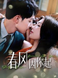 春风因你起（95集）热门短剧榜单