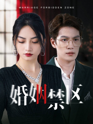 婚姻禁区(60集) 婚姻禁区(60集)剧情简介