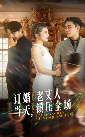 订婚当天，老丈人镇压全场（29集）红果短剧看全集