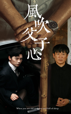 风吹父子心(65集) 风吹父子心(65集)全季一次看完