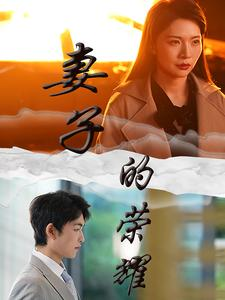 妻子的荣耀(40集) 妻子的荣耀(40集)去哪里看
