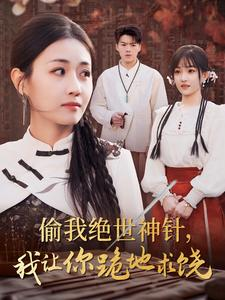 偷我绝世神针,我让你跪地求饶(30集) 偷我绝世神针,我让你跪地求饶(30集)短剧热播推荐