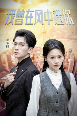 我曾在风中遇你（30集）免费全集短剧