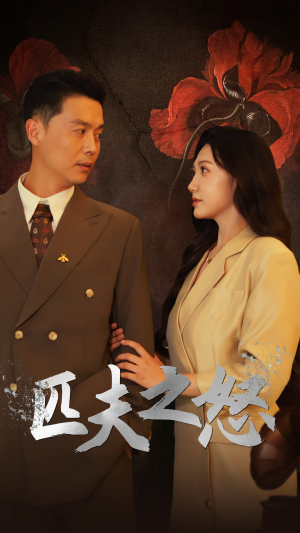 匹夫之怒(48集) 匹夫之怒(48集)全集免费观看
