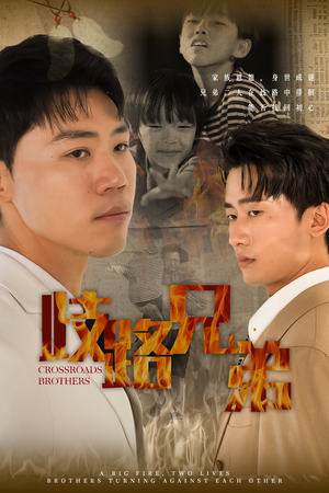 歧路兄弟（63集）海量短剧免费看