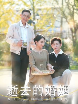逝去的婚姻(60集) 逝去的婚姻(60集)推荐你们也去看