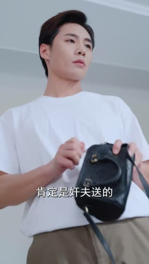 妻子的秘密（30集）火热短剧抢先看
