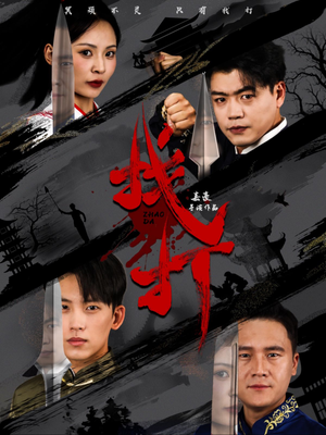 找打(60集) 找打(60集)短剧在线观看