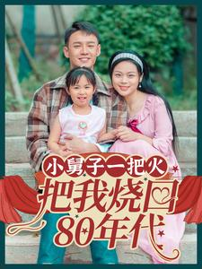 小舅子一把火把我烧回80年代(100集) 小舅子一把火把我烧回80年代(100集)全集免费看短剧