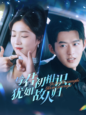 与君初相识,犹如故人归(51集) 与君初相识,犹如故人归(51集)在线看免费版