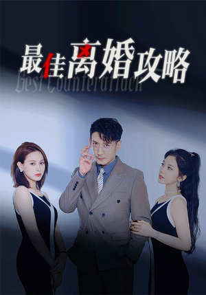 最佳离婚攻略(31集) 最佳离婚攻略(31集)在哪个平台看好