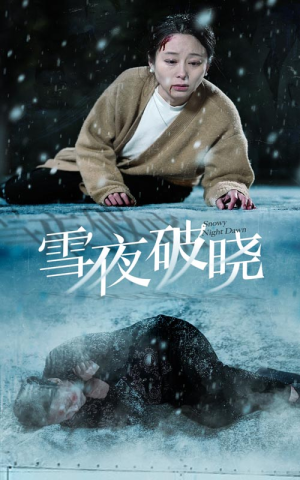 雪夜破晓(36集) 雪夜破晓(36集)一口气追完短剧