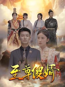至尊傻婿(82集) 至尊傻婿(82集)最新短剧推荐