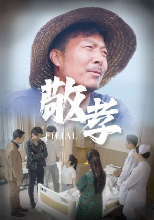 敬孝（61集）精彩短剧看全集