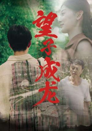 望子成龙(74集) 望子成龙(74集)分享热门短剧