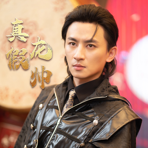 真假龙帅(81集) 真假龙帅(81集)精彩短剧又来了