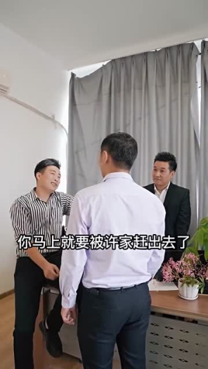 股王废婿(83集) 股王废婿(83集)短剧爆款推荐