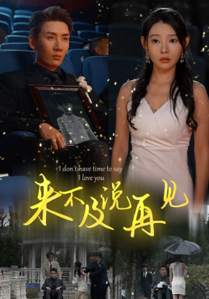 来不及说再见(30集) 来不及说再见(30集)免费短剧片段