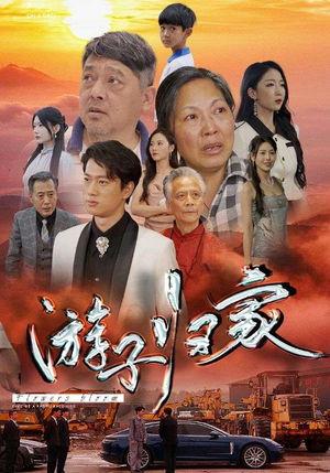 游子归家(88集) 游子归家(88集)精彩短剧合集