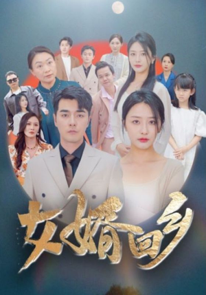 女婿回乡(120集) 女婿回乡(120集)怎么看全集