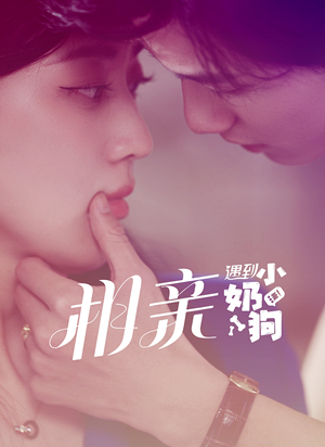 相亲遇到小奶狗(80集) 相亲遇到小奶狗(80集)大结局
