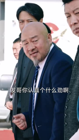 老炮出山(70集) 老炮出山(70集)全集免费
