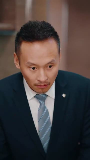 17.过大年之房不胜防(80集) 17.过大年之房不胜防(80集)真的太好看了