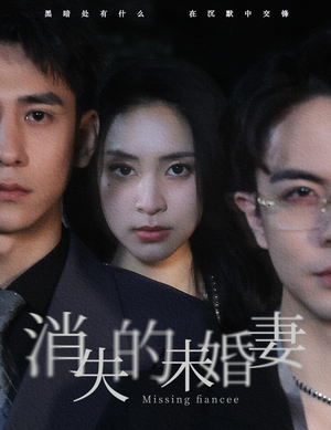 消失的未婚妻(82集) 消失的未婚妻(82集)海量短剧免费看