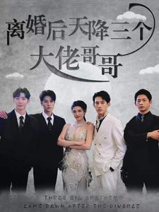 离婚后天降三个大佬哥哥(83集) 离婚后天降三个大佬哥哥(83集)热门短剧推荐。
