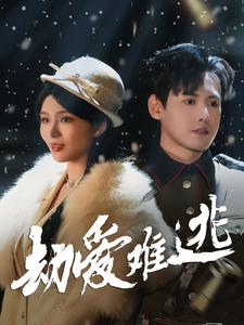 24.劫爱难逃(30集) 24.劫爱难逃(30集)在线看完整版