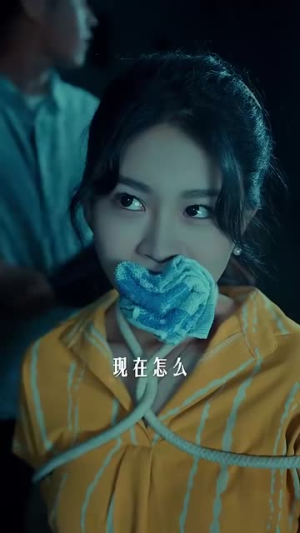 重生之山河图(85集) 重生之山河图(85集)短剧热播中