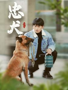 忠犬（34集）全集一网打尽