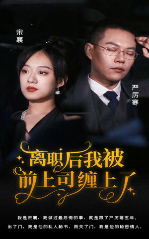 离职后,我被前上司缠上了(100集) 离职后,我被前上司缠上了(100集)热门火爆短剧