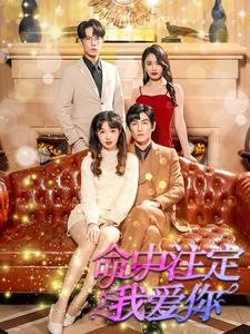 命中注定我爱你（99集）独家短剧免费看