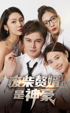 废柴赘婿是神豪(84集) 废柴赘婿是神豪(84集)看过的人都说好