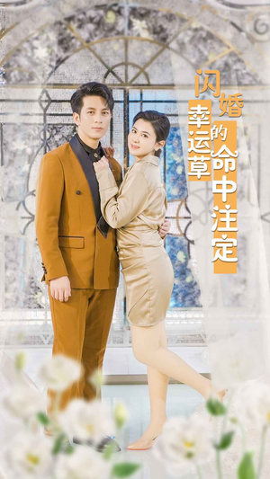 闪婚幸运草的命中注定(82集) 闪婚幸运草的命中注定(82集)精彩短剧又来了