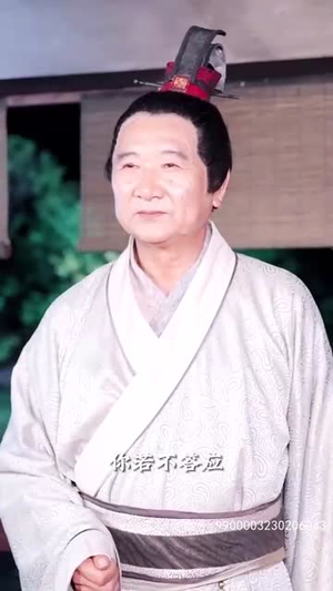 盛世繁花(85集) 盛世繁花(85集)全季一次看完