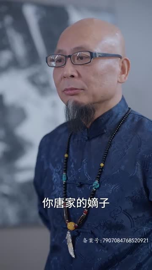 战凰(92集) 战凰(92集)短剧追到爽