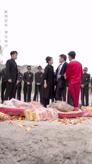 大嫂归来(69集) 大嫂归来(69集)免费观看完整版