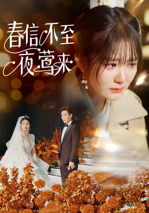 春信不至夜莺来(50集) 春信不至夜莺来(50集)免费看