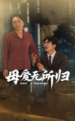 母爱无所归(33集) 母爱无所归(33集)在哪里可以看
