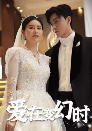 爱在变幻时(85集) 爱在变幻时(85集)在线看完整版